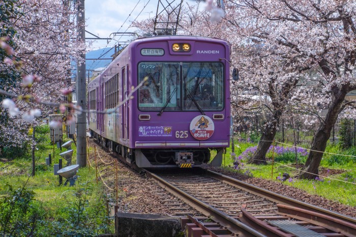 日本放宽入境限制，手持旅游签赴樱花之约